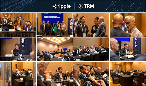 Ripple_RTM_reg in a decent world_banner