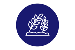 Agri finance