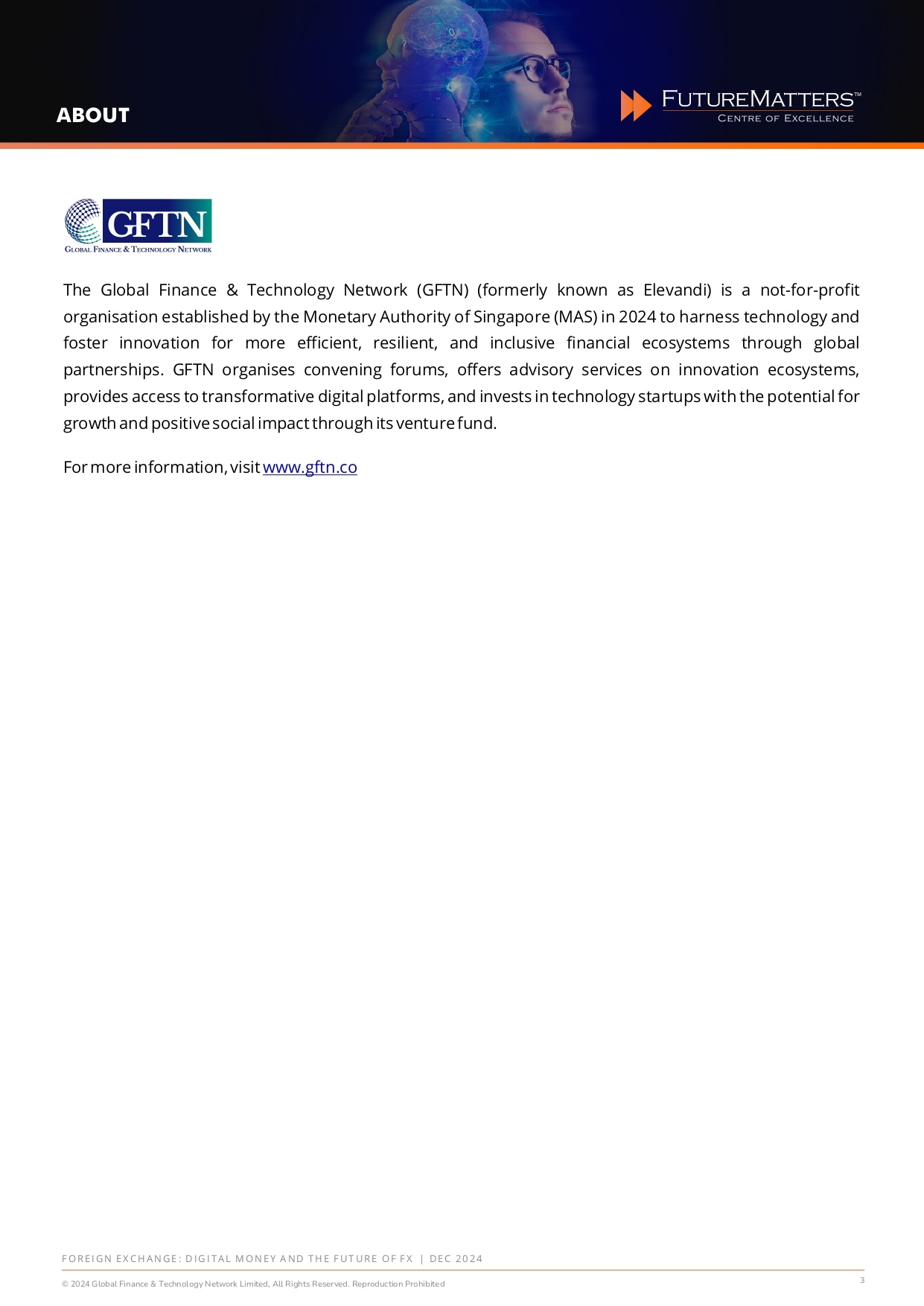 Foreign Exchange - Digital money and the future of FX - Dec 2024_page-0003