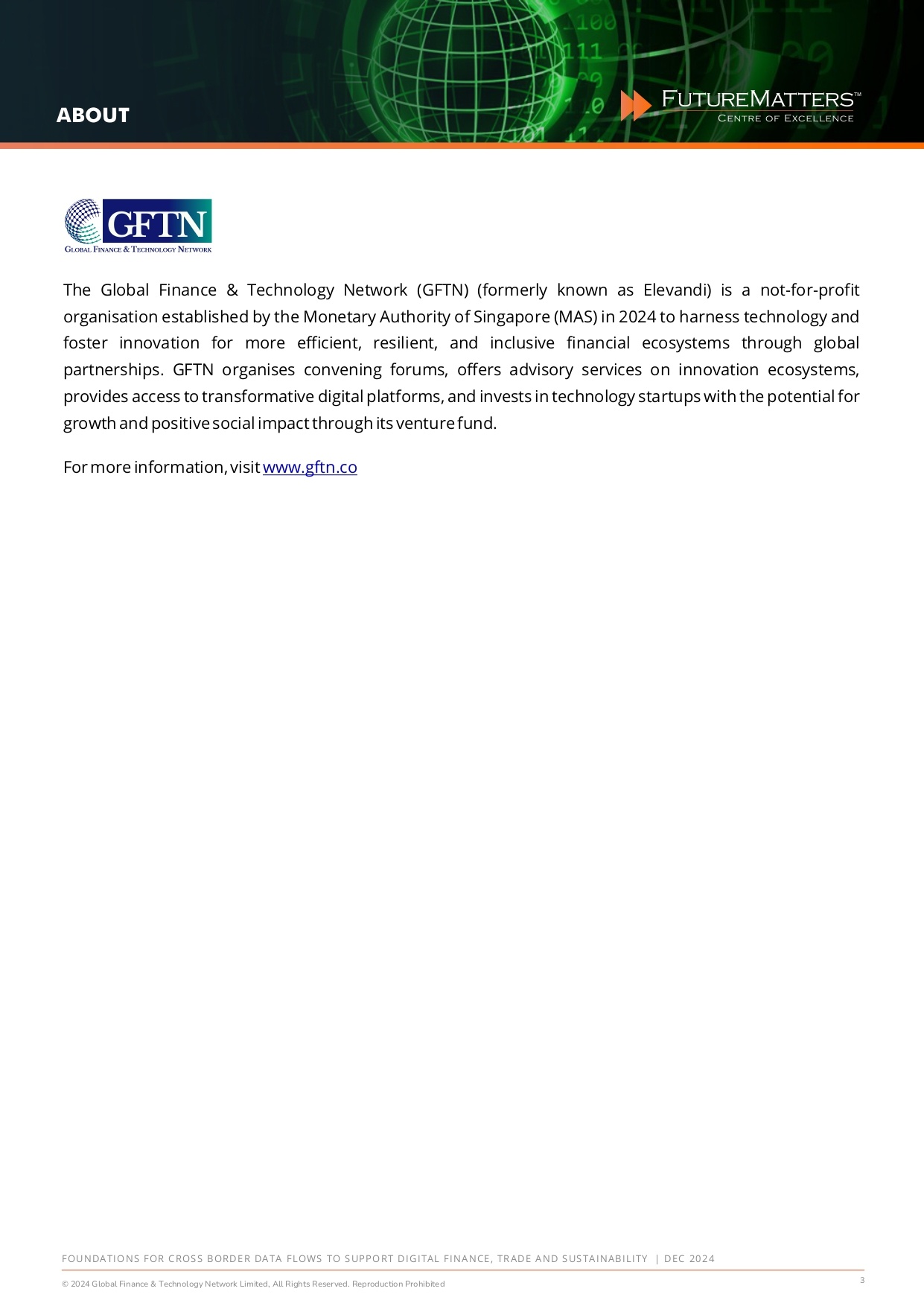 Foundations for Cross Border Data Flows - Dec 2024_page-0003