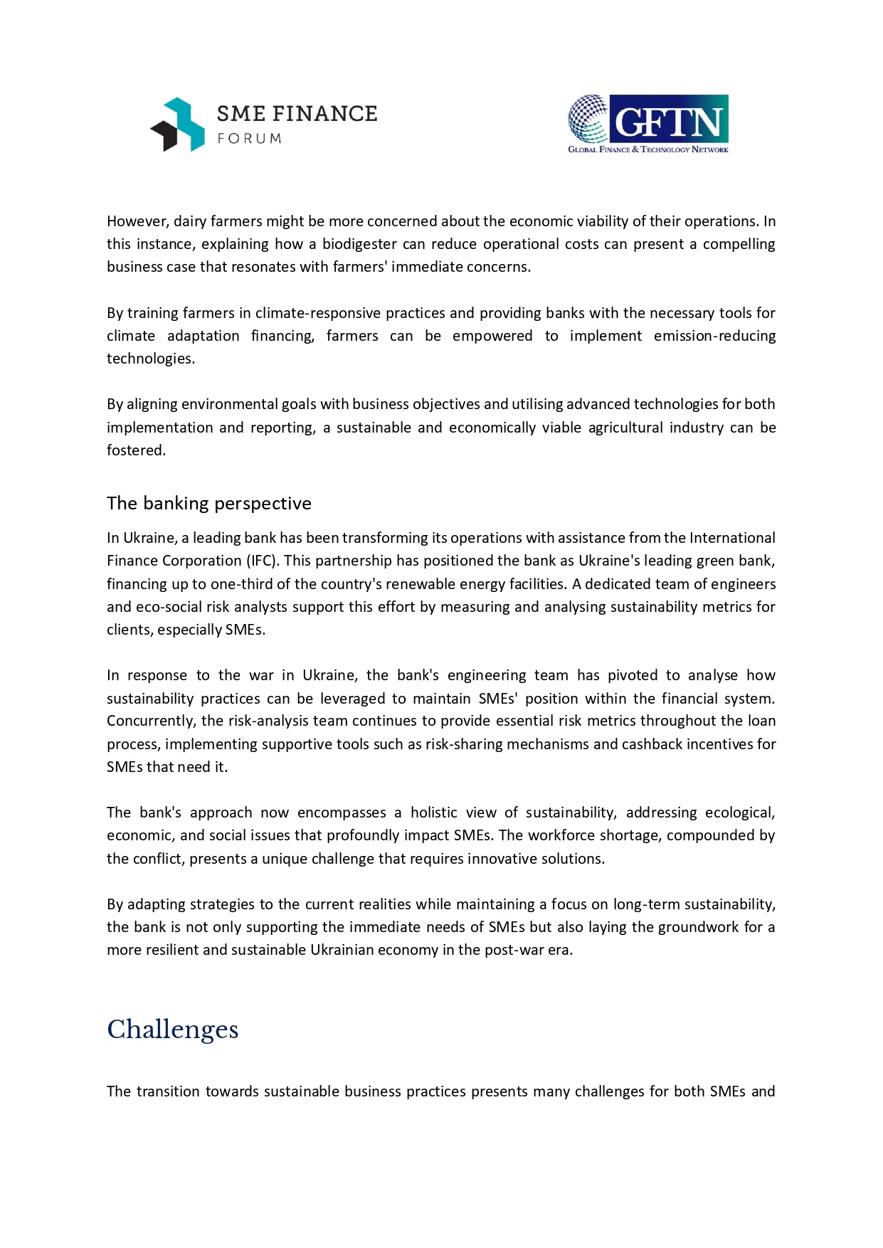Roundtable_Report_Measuring SME sustainability_ Challenges and opportunities_GSMEFF_2024_page-0004