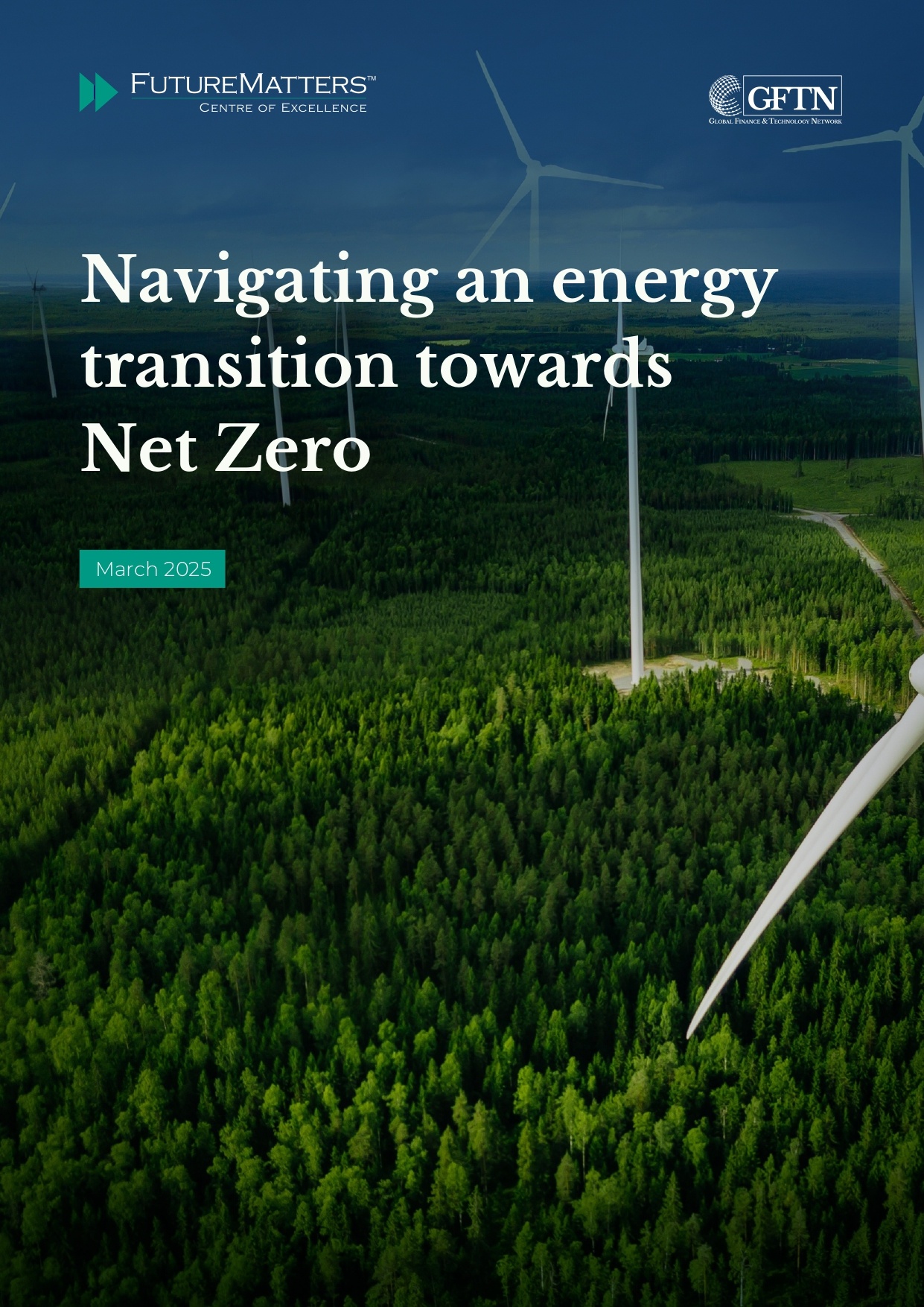 IF - Navigating an energy transition towards Net Zero_page-0001