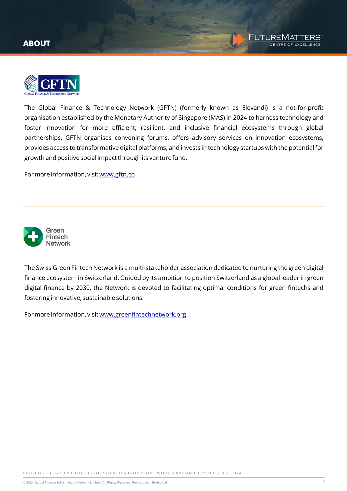 Building the green fintech ecosystem - Switzerland - Dec 2024-3