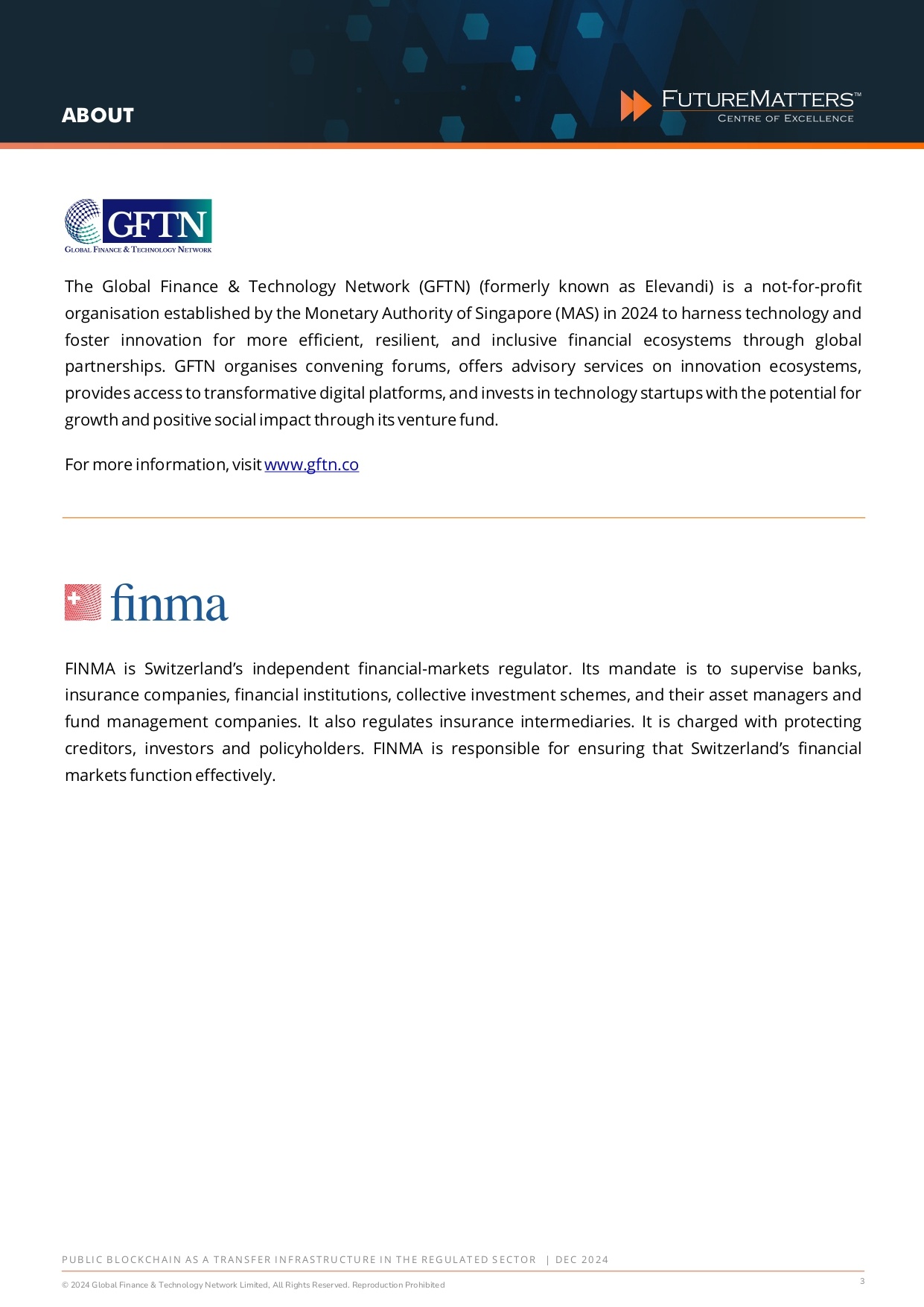 Public Blockchain - Dec 2024_final_page-0003