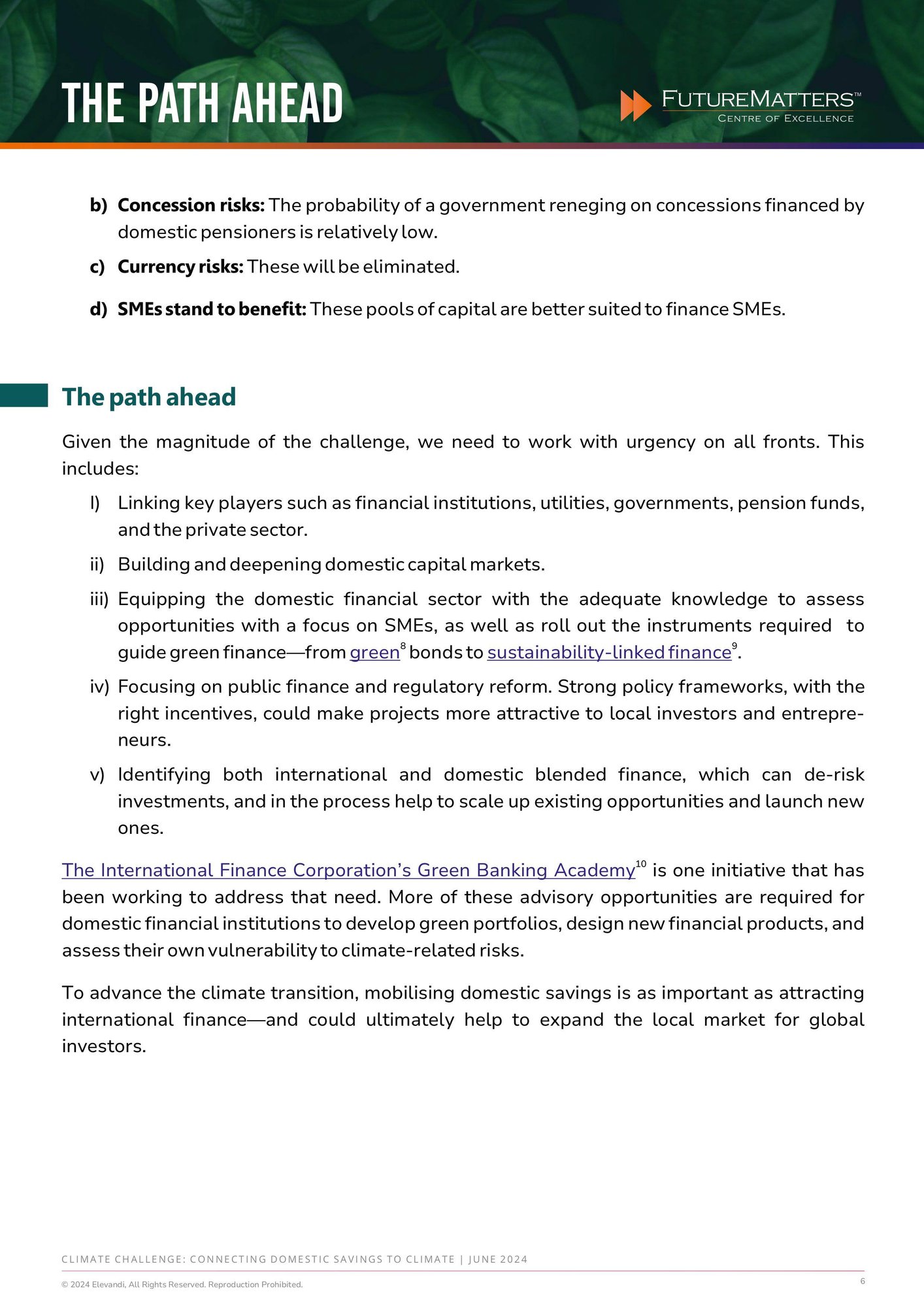 V3 - Climate Challenge - Connecting Domestic Savings to Climate - Vivek Pathak - May 2024-images-5