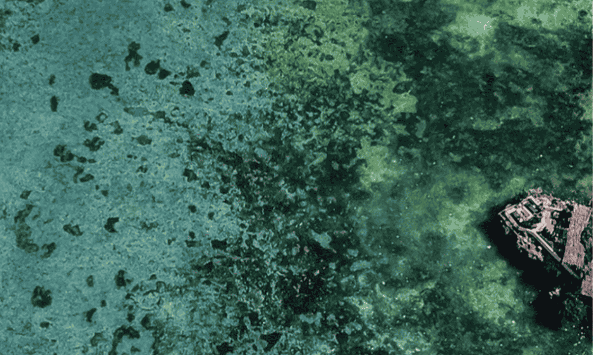 The Future of Sustainable Supply Chains