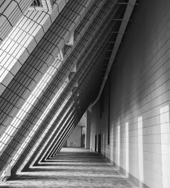 ALFIN - Central brain intelligence