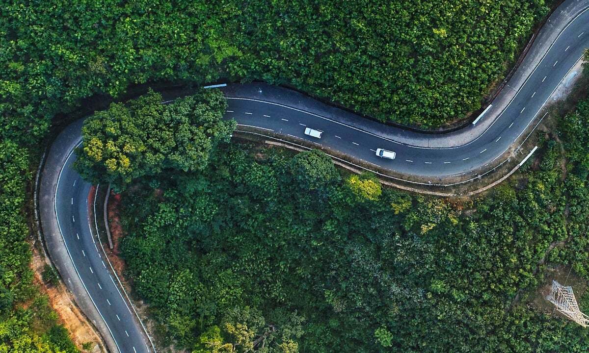 Policy and ecosystem development