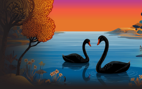 Black Swan Summit, India - Scale of Possibility