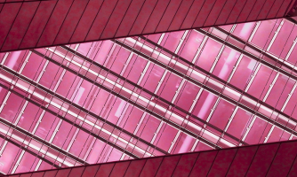 GFTN Connect - Programmes