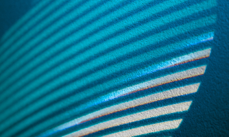 Building Trust, Interoperability, and Inclusion - Focus Area