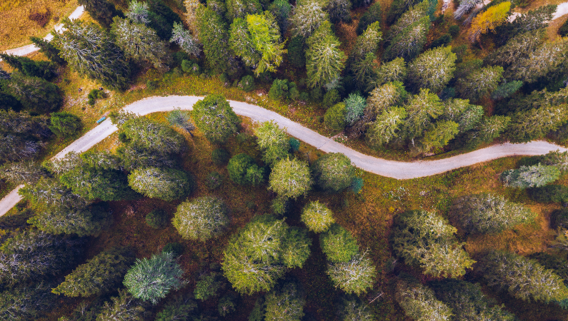 Manifesto - we are a community rooted in trust Manifesto - we are a community rooted in trust